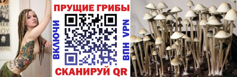 Псилоцибиновые грибы Magic Shrooms  Воркута 